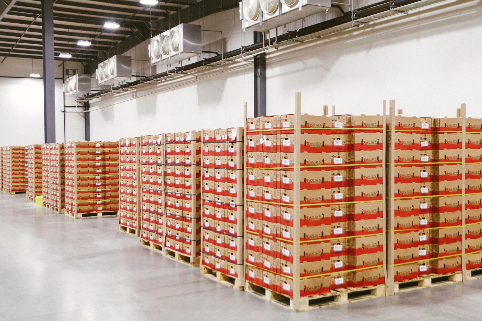 Rows of red produce crates with case labels stacked on pallets in cold storage